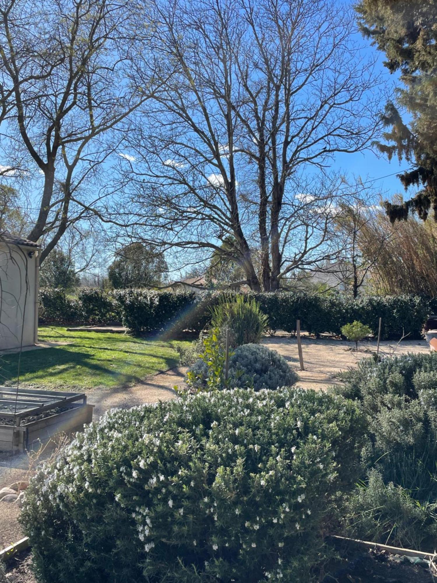Bed and Breakfast Arles Campagne Location "La Campagn'Arles" Экстерьер фото