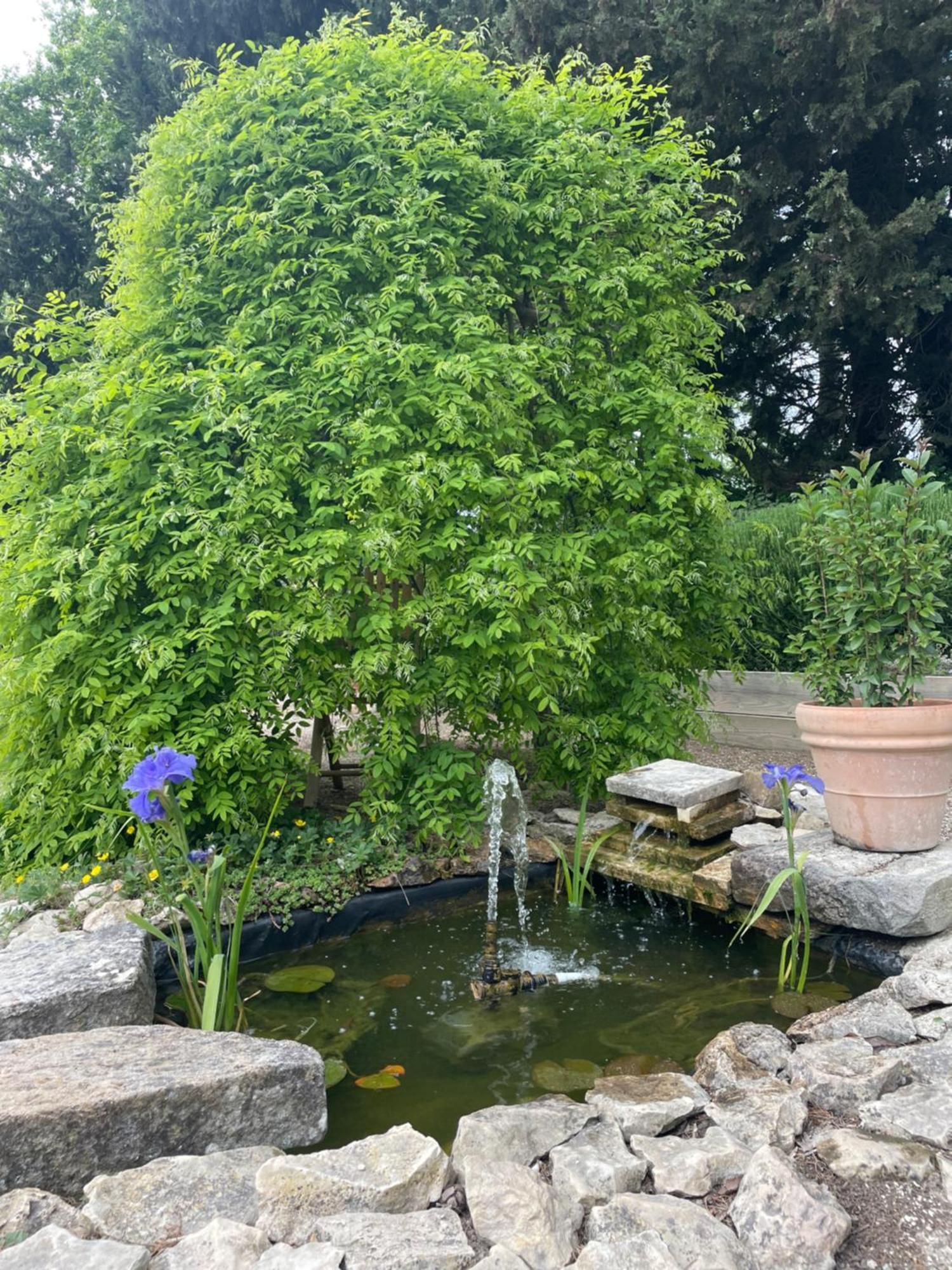 Bed and Breakfast Arles Campagne Location "La Campagn'Arles" Экстерьер фото